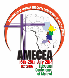 Amecea plenary logo 2014