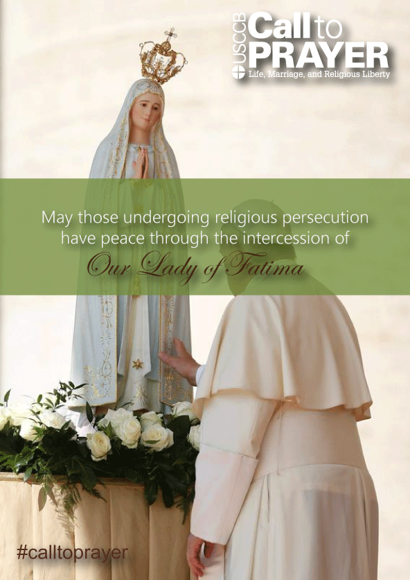 5-10-2016-Our-Lady-of-Fatima